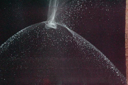 Olafur Eliasson, Your split second house, venedig, Fotografiepreis, Bienale